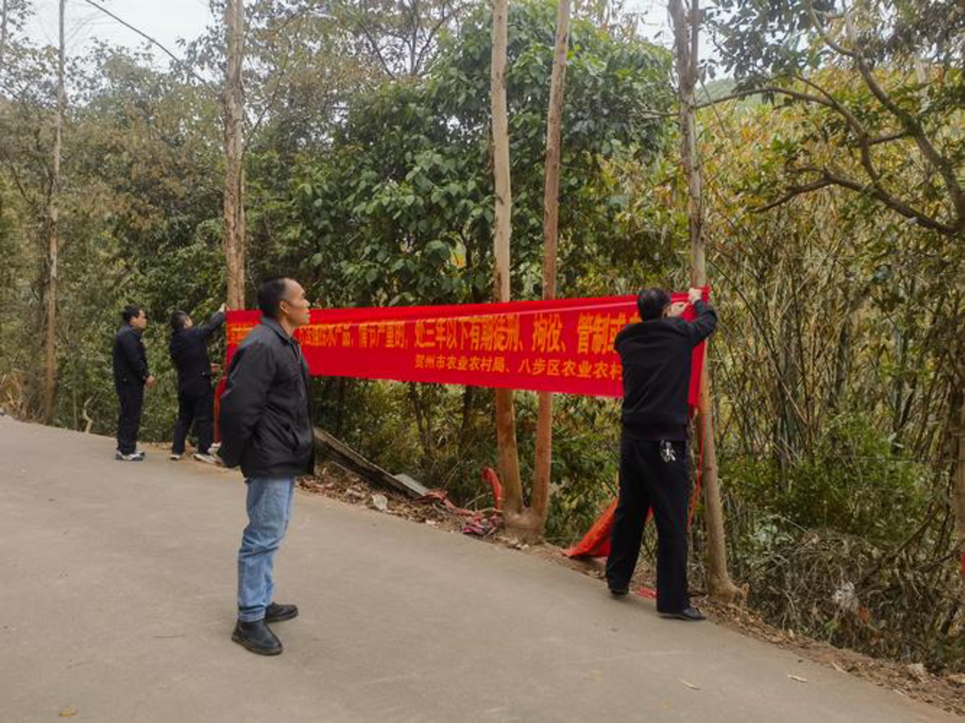 绿知都农业